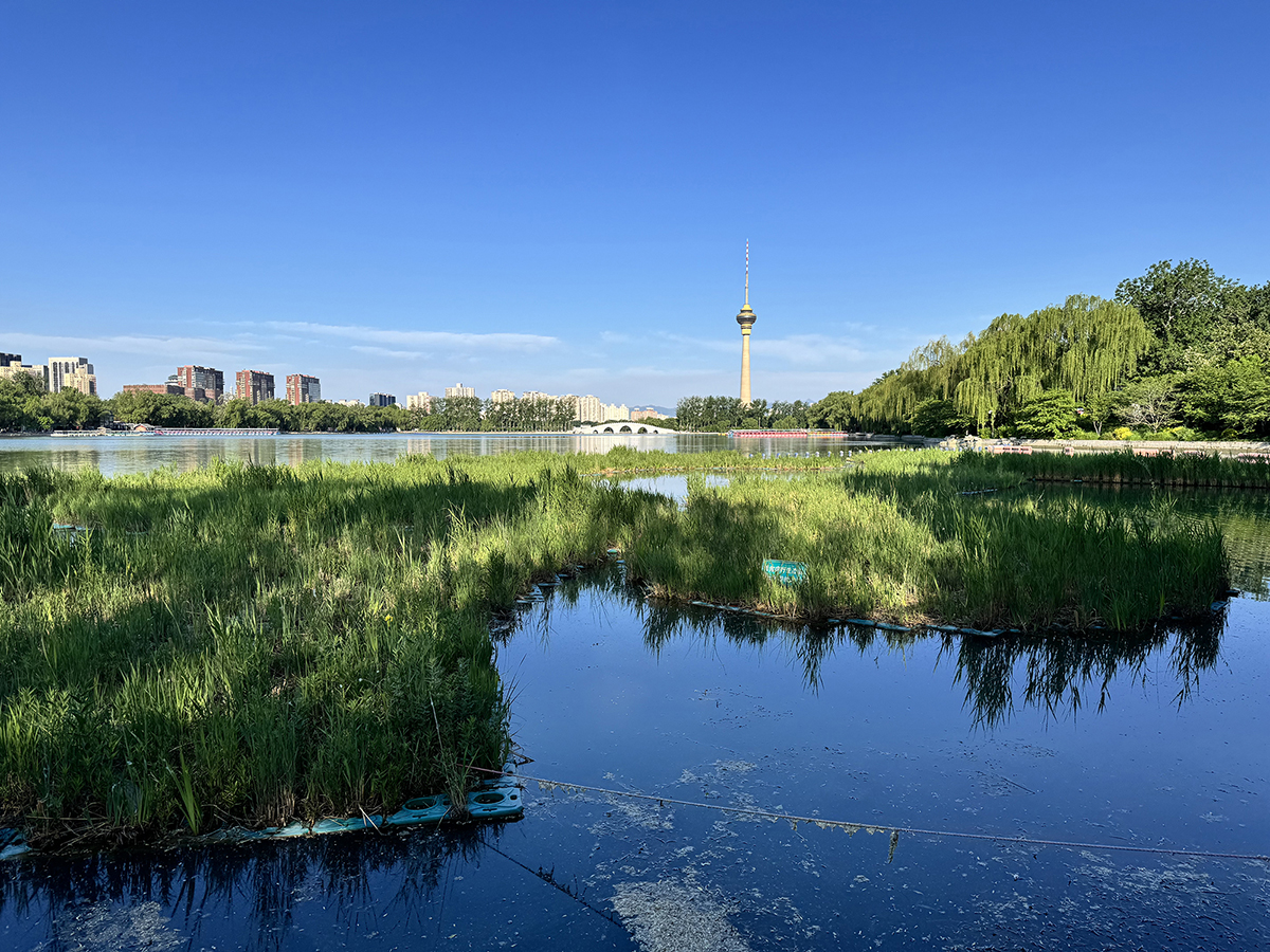 IMG_1876