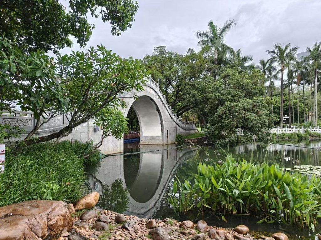 深圳荔枝公园，雨中观湖听雨