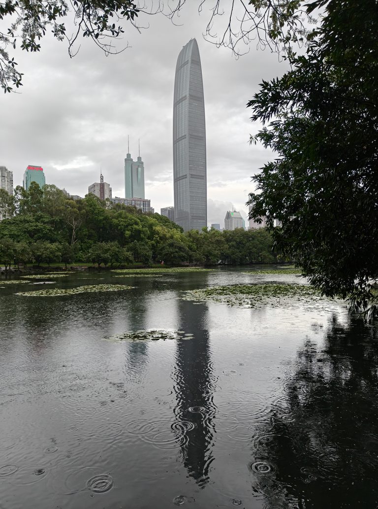 深圳 雨中的荔枝公园