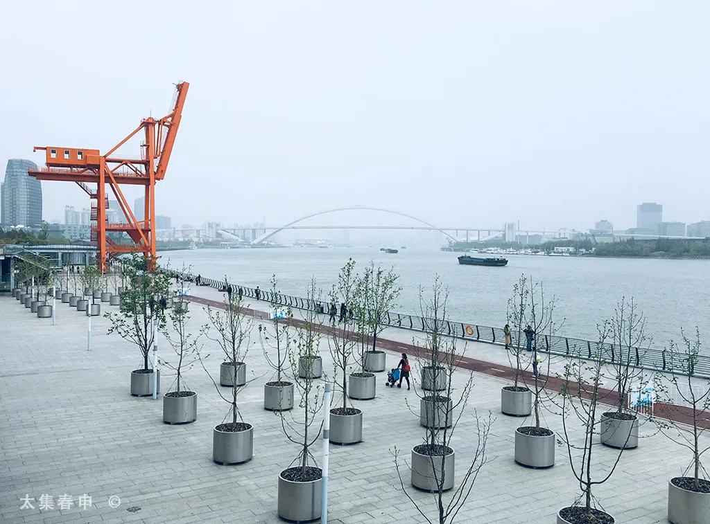 徐汇滨江-1
