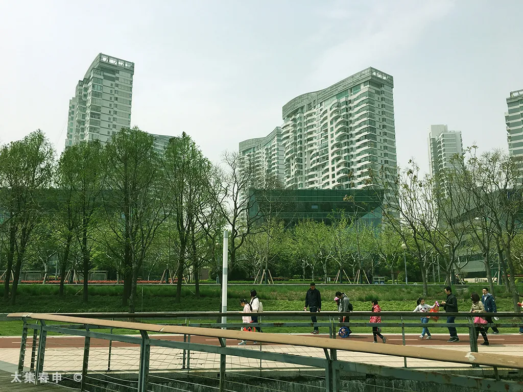 徐汇滨江-4